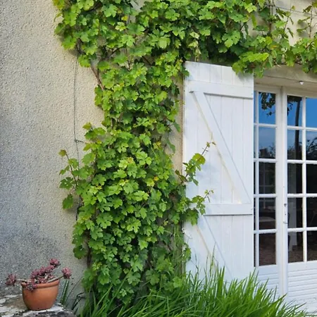 La Petite Chouette Saint-Côme-de-Fresné