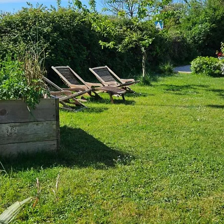 La Petite Chouette * Saint-Côme-de-Fresné