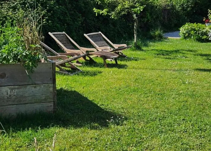 La Petite Chouette * Saint-Côme-de-Fresné